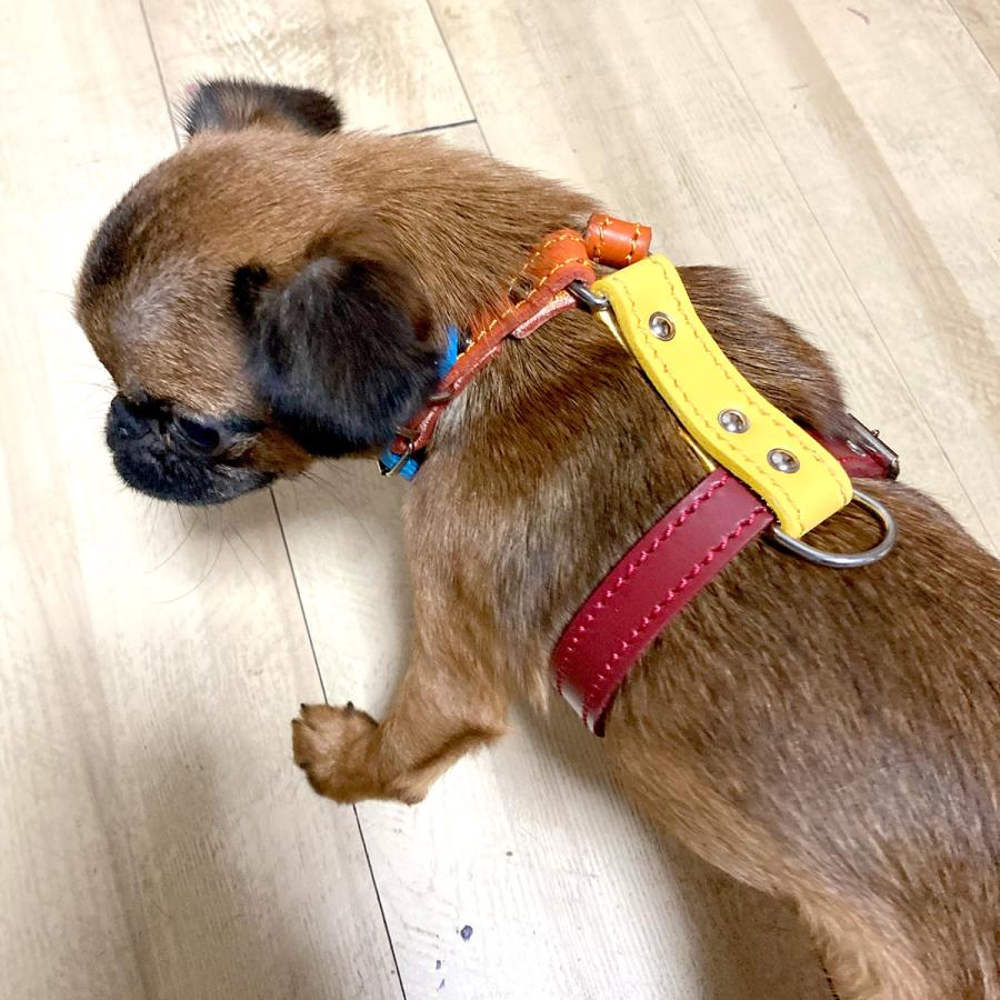 小型犬 ハーネス 胴輪 革 サイズオーダー：H3（胸部分調整） |  | 08