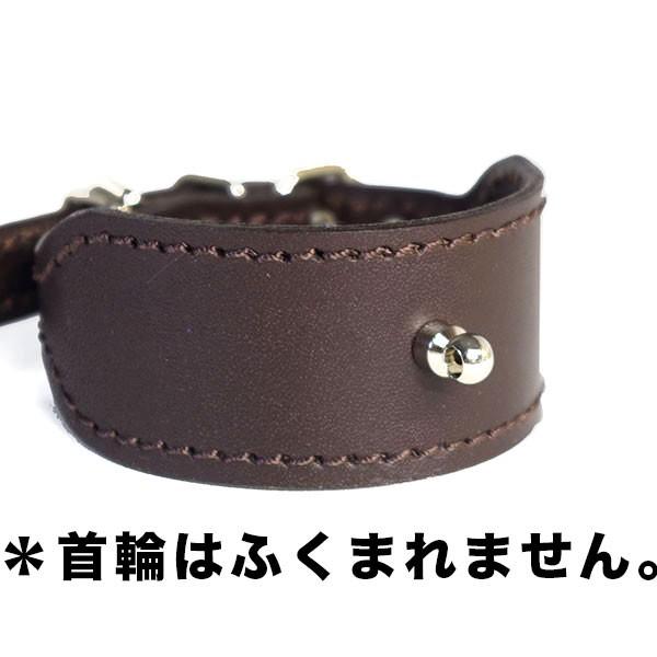 ＋ドッグタグをつける金具(首輪との組み合わせ用） | 