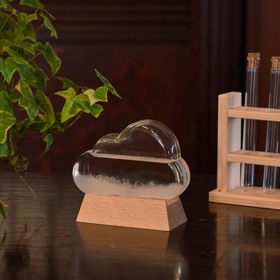 ストームグラス クラウド 274 Type リビングルーム デスク 寝室 おしゃれ デザイナーズ インテリア 癒しグッズ おうち時間 333 274 エクストリームリミット 通販 Yahoo ショッピング