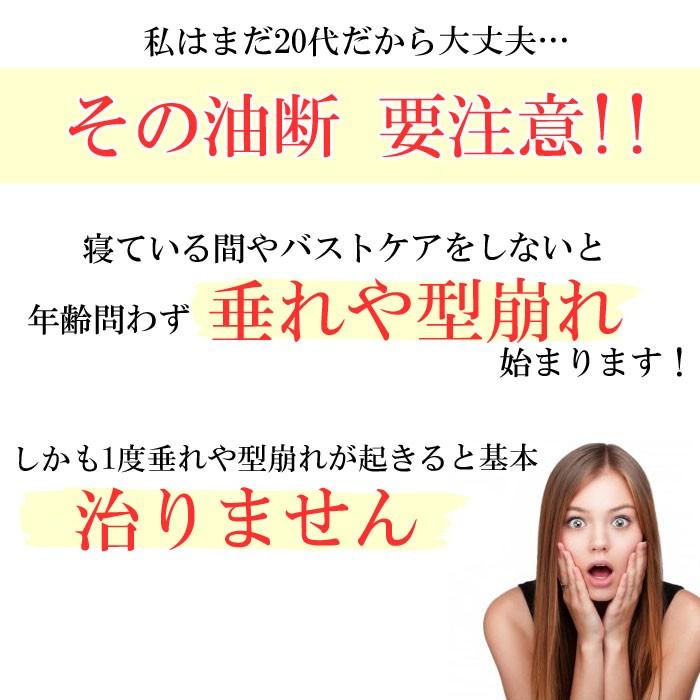 ナイトブラ ブラジャー ノンワイヤー 40代 30代 代 大きいサイズ 育乳ブラ 大きいサイズ A B C D E F G カップ 脇肉 補正ブラ 育乳 大きい胸 Ko 1 Wkj2630 A58 Tiara ティアラ 通販 Yahoo ショッピング