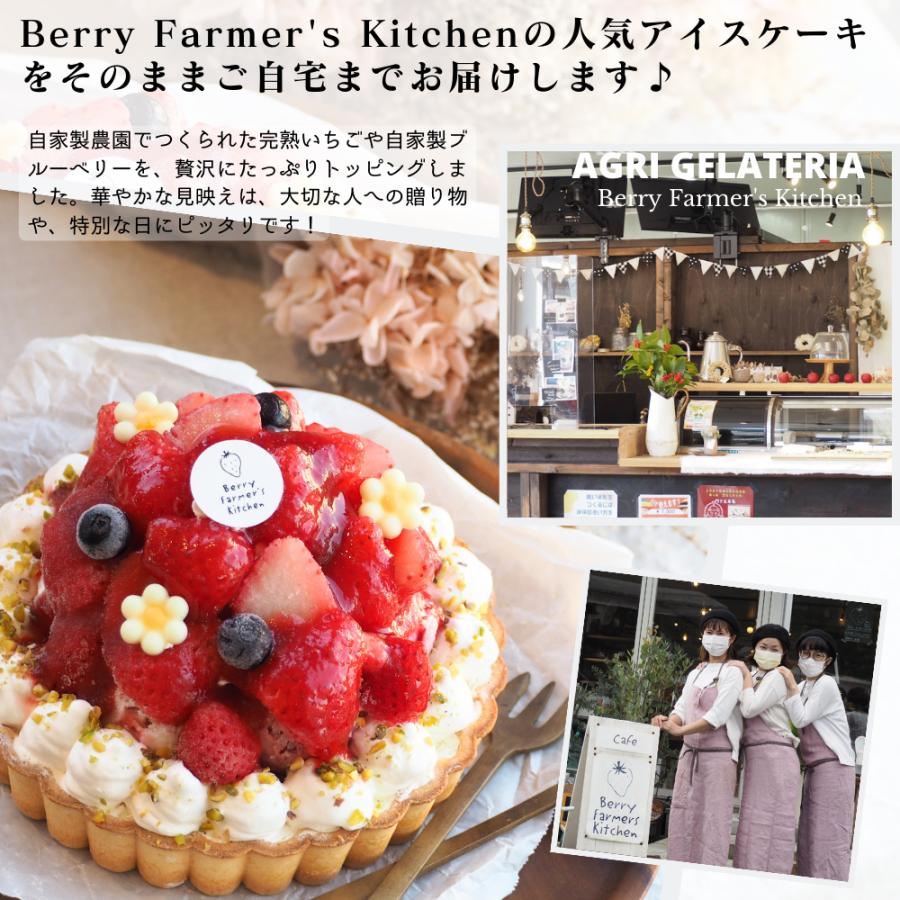 【アイス ケーキ】 ゴロゴロ大粒いちごの【あっきらきらアイスケーキ】クリスマス 誕生日 スイーツ プレゼント |  | 09