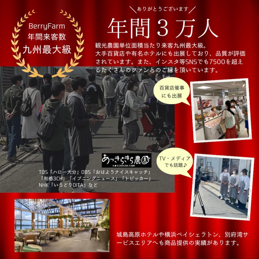 【アイス ケーキ】 ゴロゴロ大粒いちごの【あっきらきらアイスケーキ】クリスマス 誕生日 スイーツ プレゼント |  | 01