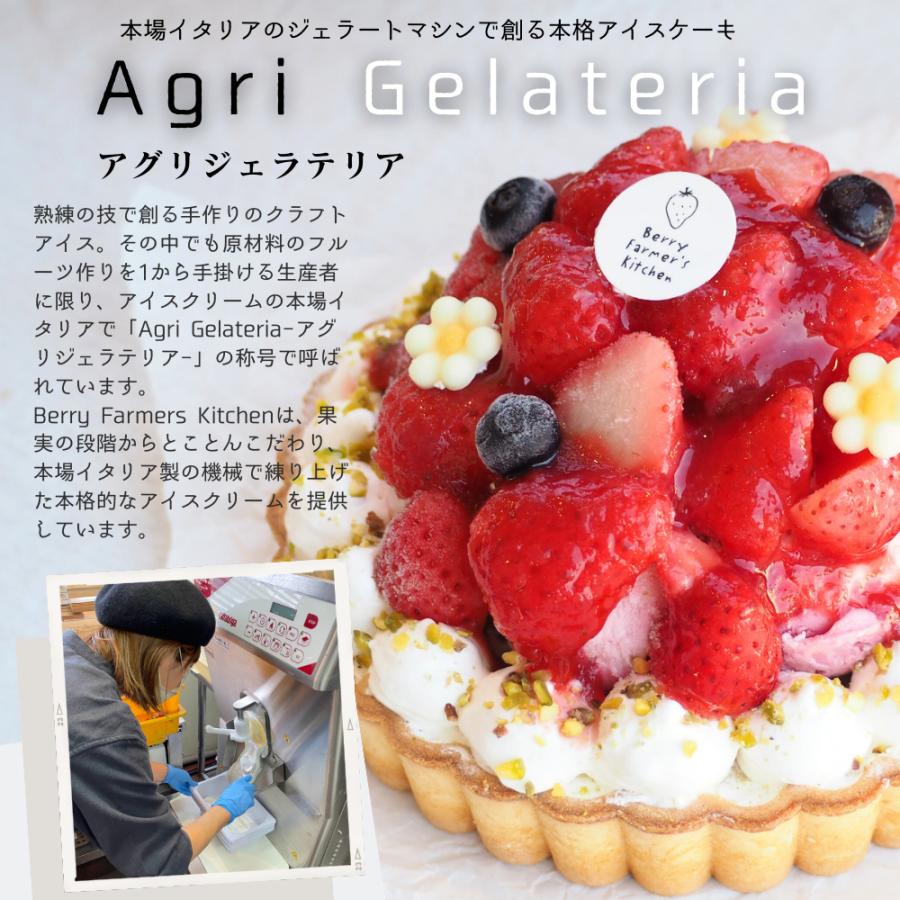 【アイス ケーキ】 ゴロゴロ大粒いちごの【あっきらきらアイスケーキ】クリスマス 誕生日 スイーツ プレゼント |  | 02