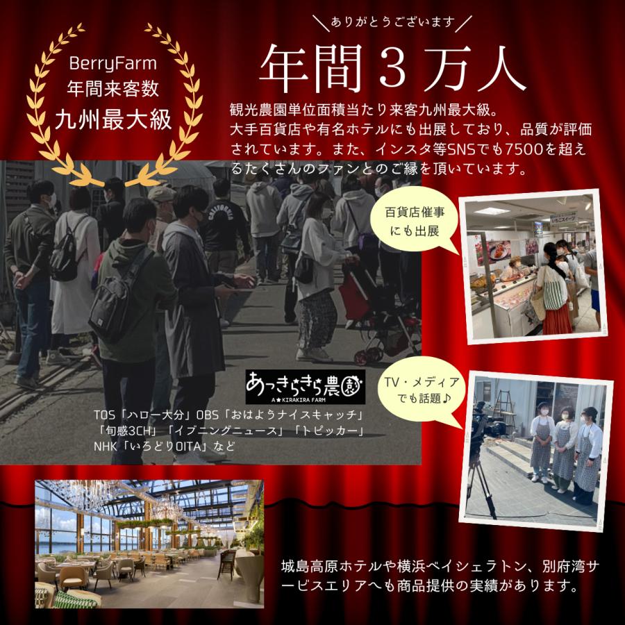 【アイス ケーキ】 ダブルベリーとレアチーズの【あっきらきらアイスケーキ】クリスマス 誕生日 スイーツ プレゼント |  | 01