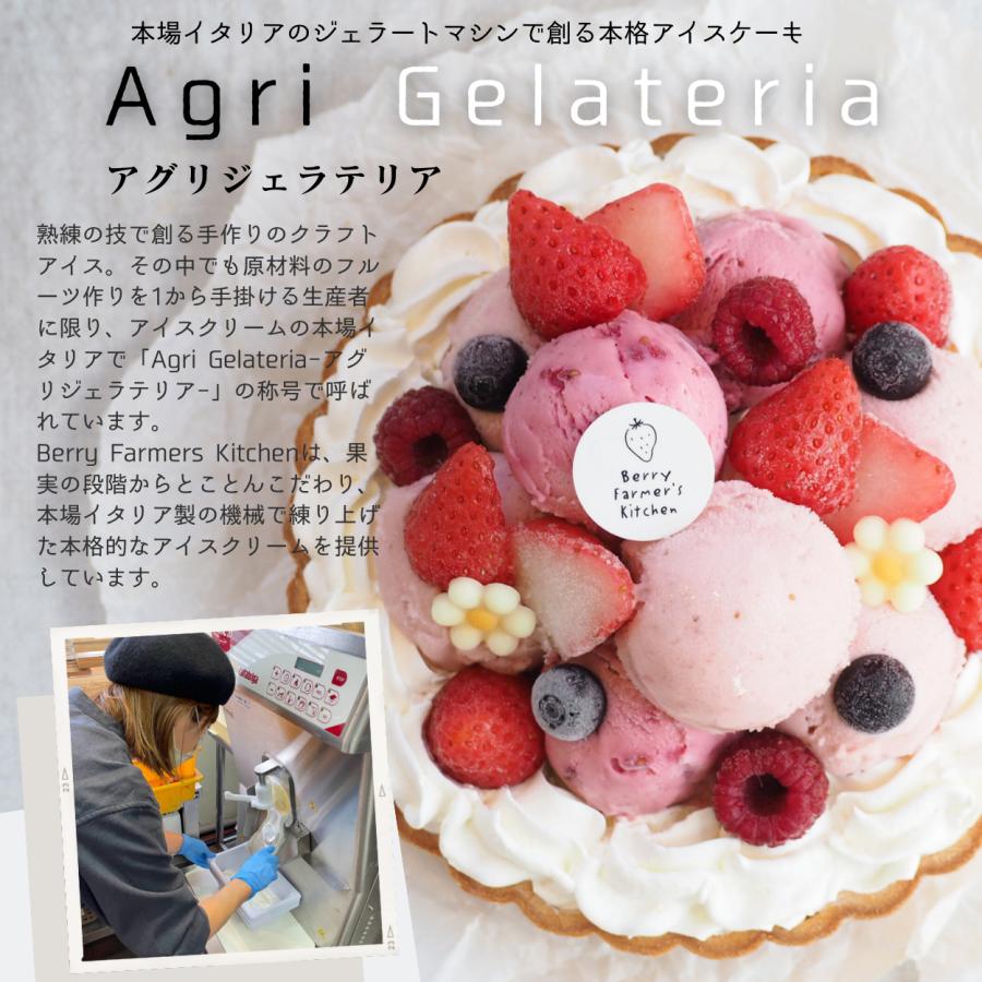 【アイス ケーキ】 ダブルベリーとレアチーズの【あっきらきらアイスケーキ】クリスマス 誕生日 スイーツ プレゼント |  | 02