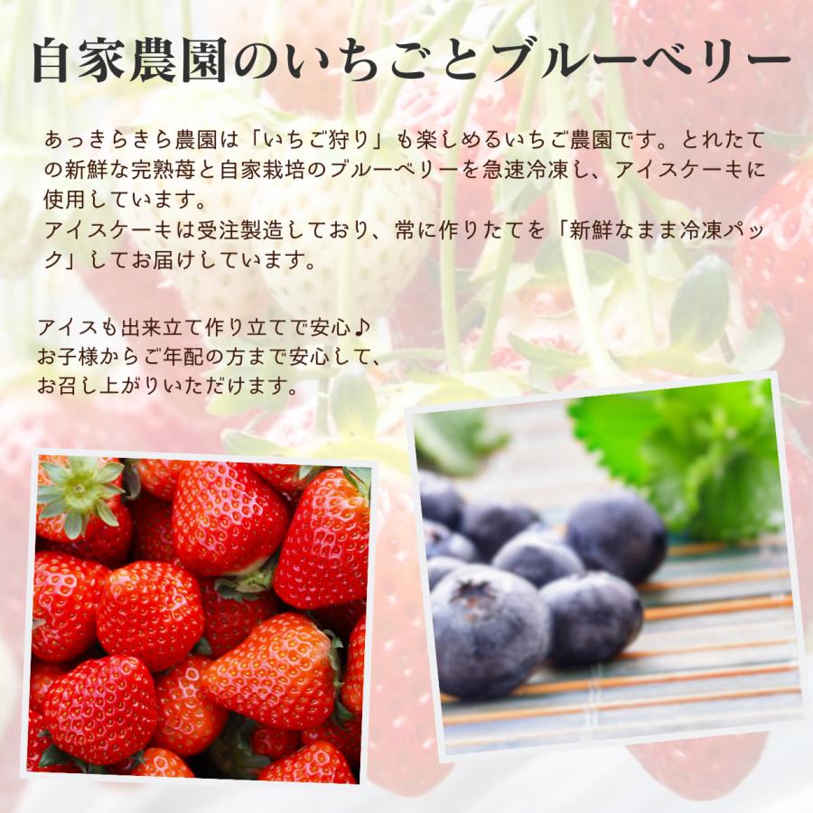 【アイス ケーキ】 ダブルベリーとレアチーズの【あっきらきらアイスケーキ】クリスマス 誕生日 スイーツ プレゼント |  | 04