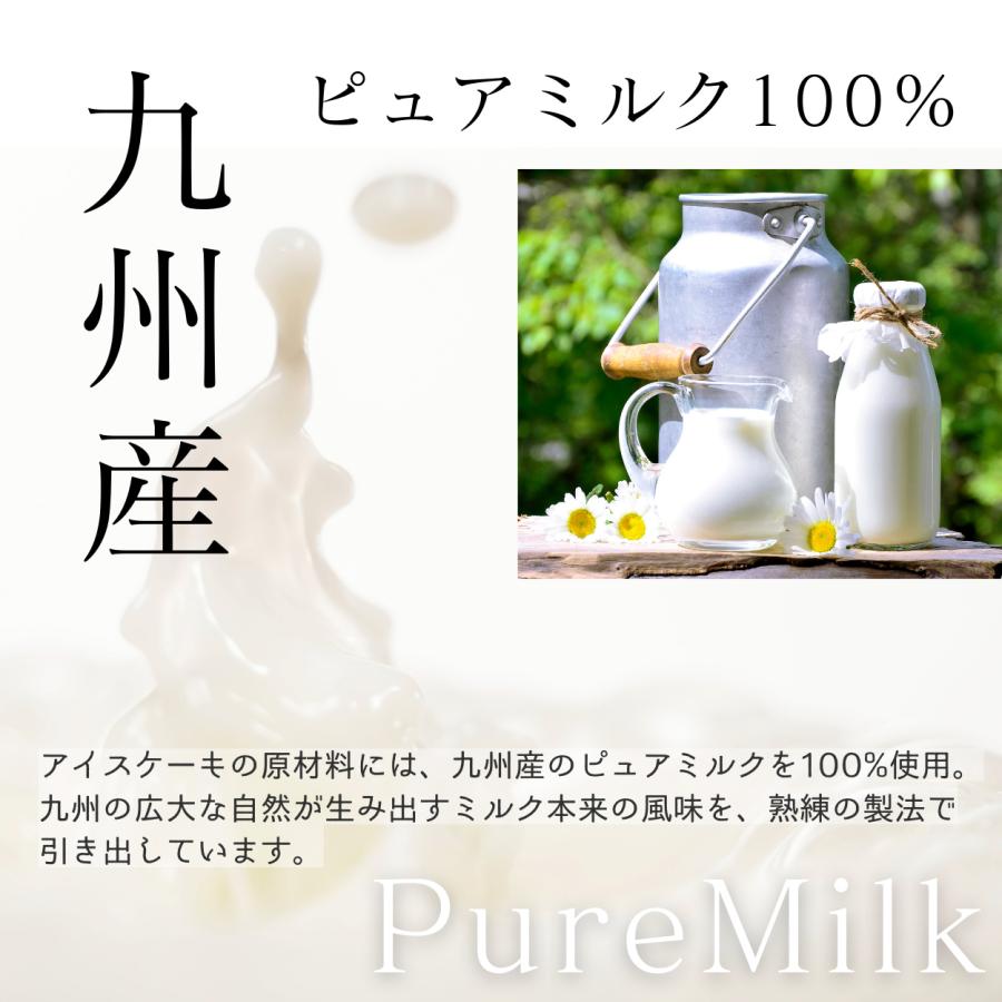 【アイス ケーキ】 ダブルベリーとレアチーズの【あっきらきらアイスケーキ】クリスマス 誕生日 スイーツ プレゼント |  | 05