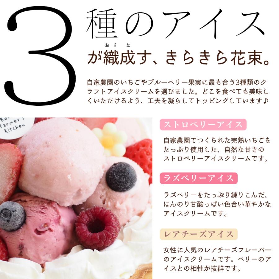 【アイス ケーキ】 ダブルベリーとレアチーズの【あっきらきらアイスケーキ】クリスマス 誕生日 スイーツ プレゼント |  | 06