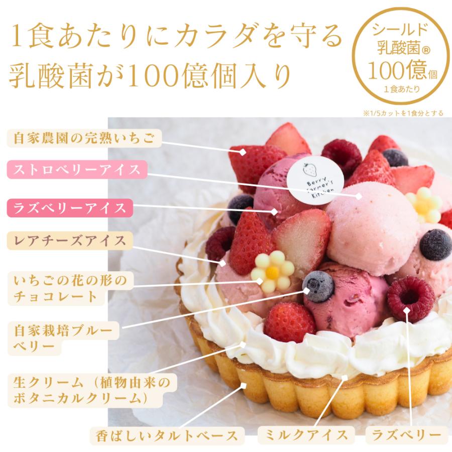 【アイス ケーキ】 ダブルベリーとレアチーズの【あっきらきらアイスケーキ】クリスマス 誕生日 スイーツ プレゼント |  | 07