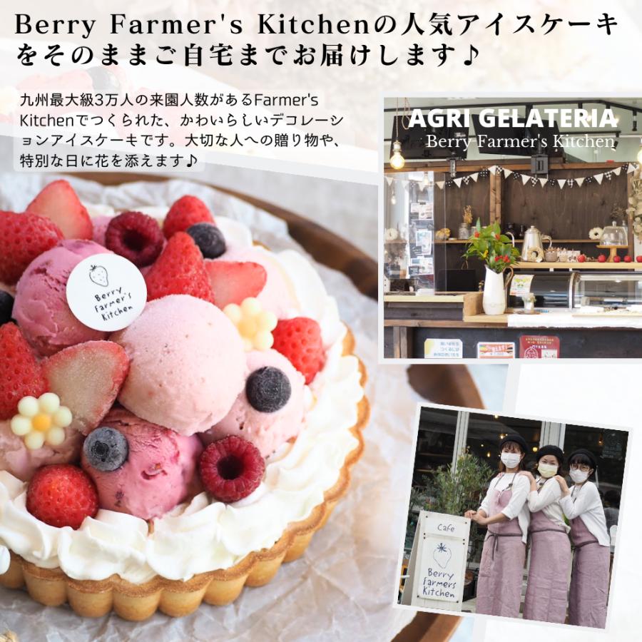 【アイス ケーキ】 ダブルベリーとレアチーズの【あっきらきらアイスケーキ】クリスマス 誕生日 スイーツ プレゼント |  | 09