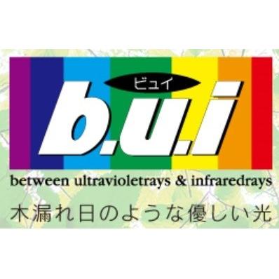 交換用レンズ 加工料込 度なし 伊達 眼精疲労予防ビュイ bui 度なし