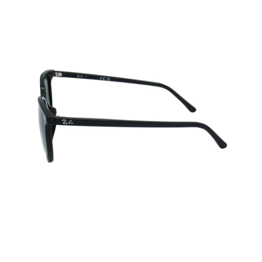 Ray-Ban レイバン サングラス RB2197F 901/31（54サイズ）Elliot