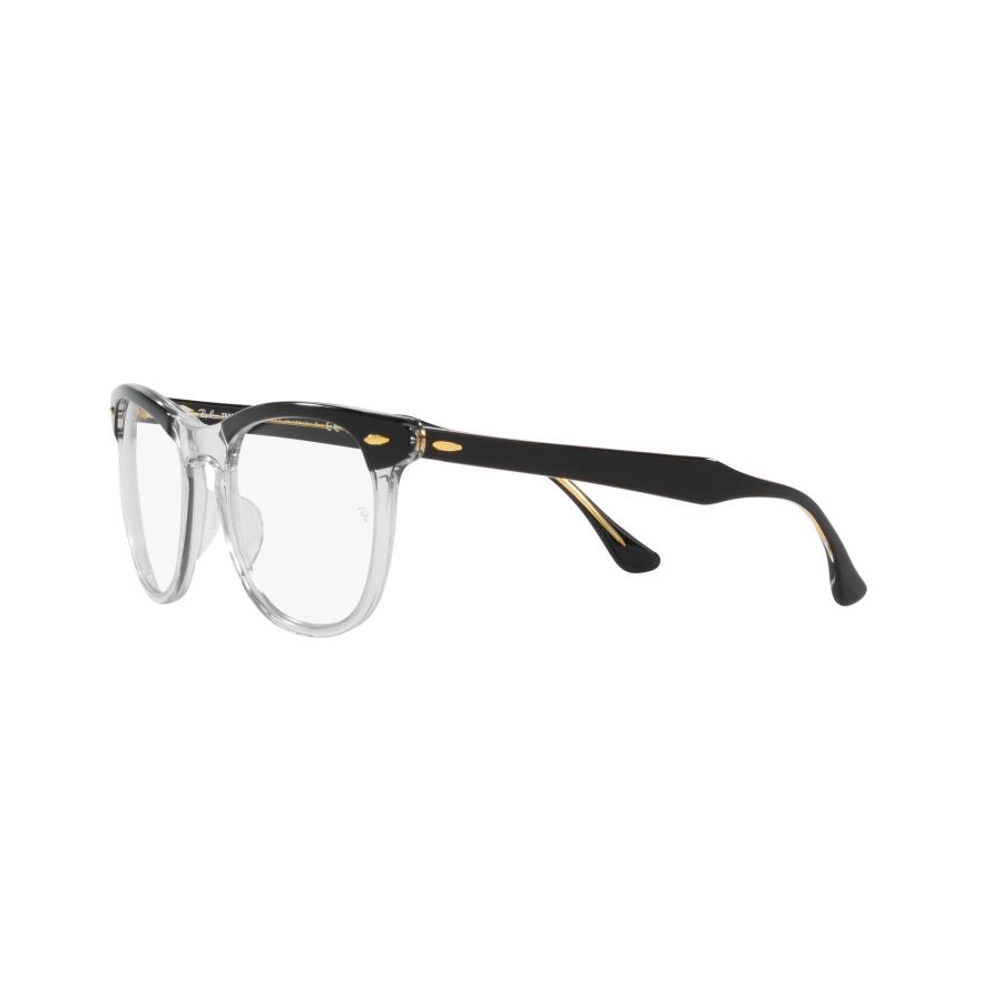 Ray-Ban（レイバン） サングラス Ray-Ban RB2398F 1294/GJ (53サイズ