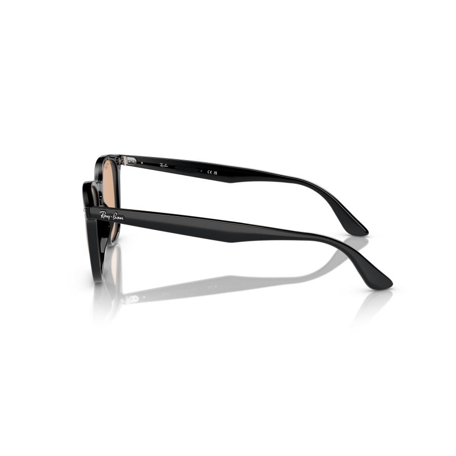 Ray-Ban（レイバン） サングラス Ray-Ban RB4258F 601/93（52サイズ