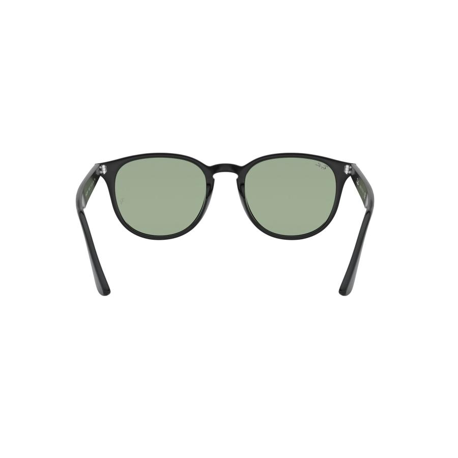 Ray-Ban（レイバン） サングラス Ray-Ban RB4259F 601/2 (53サイズ