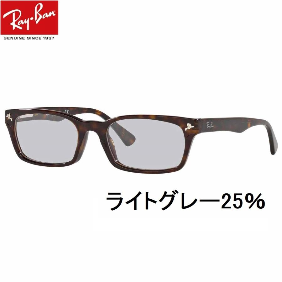 Ray-Ban レイバン ライトカラー サングラス RX5017A-2012 52 Ray-Ban レイバン ライトカラー サングラス RX5017A-2012 52