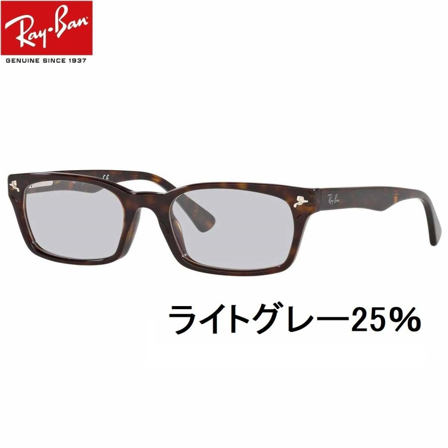 レイバン ライトカラー サングラス Ray-Ban RX5017A-2012 52 アジアンフィット セルフレーム UVカット｜eyemax｜03