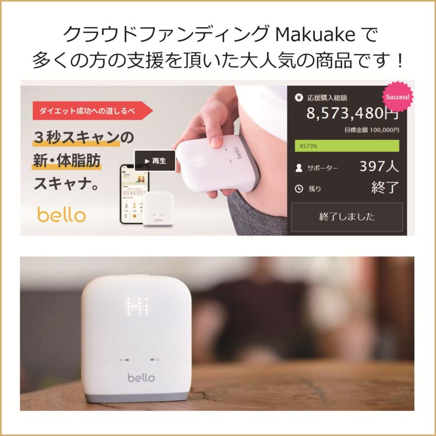 お腹専用 スキャナー 内蔵脂肪 皮下脂肪 腹部脂肪率 スキャン お腹専用 スキャナー 内蔵脂肪 皮下脂肪 腹部脂肪率 スキャン
