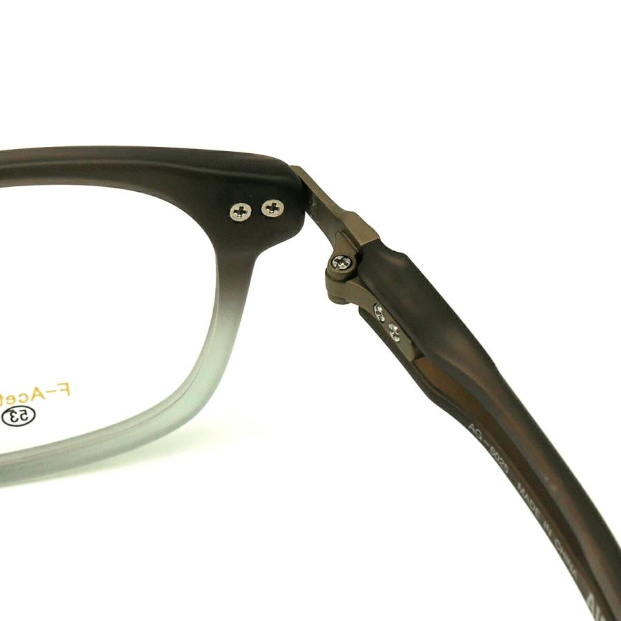 エーグル メガネ AG-6025 col.2 53mm AIGLE フレーム PPSU 弾性樹脂