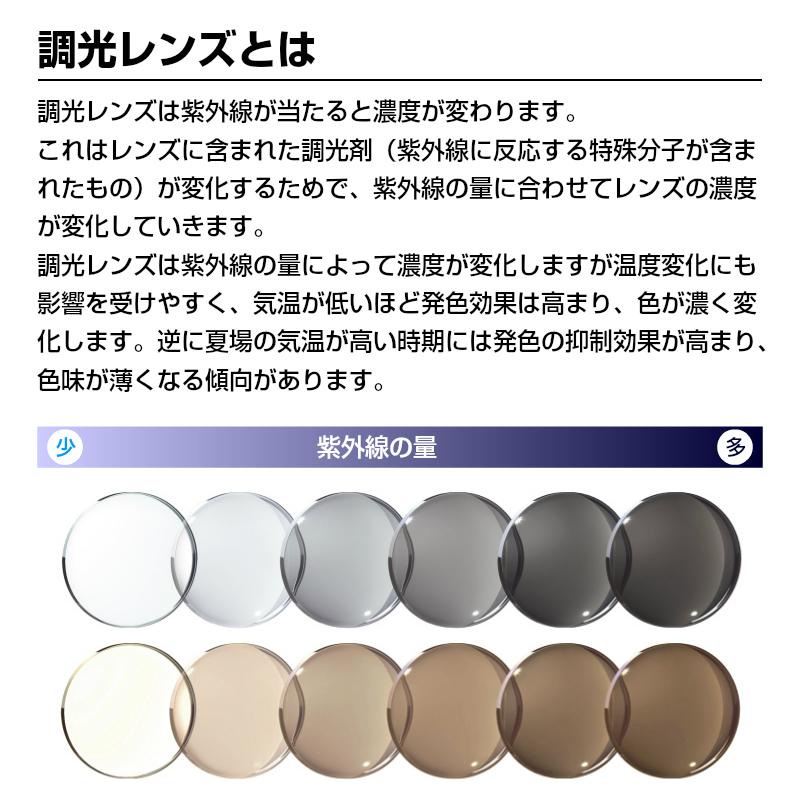 大きいサイズ 顔 大きい サングラス 調光 シェネガ CIENEGA CN-K31 C-2