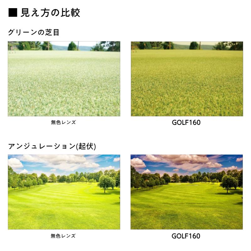 大きいサイズ 顔 大きい ゴルフ サングラス シェネガ CIENEGA CN-K35 C