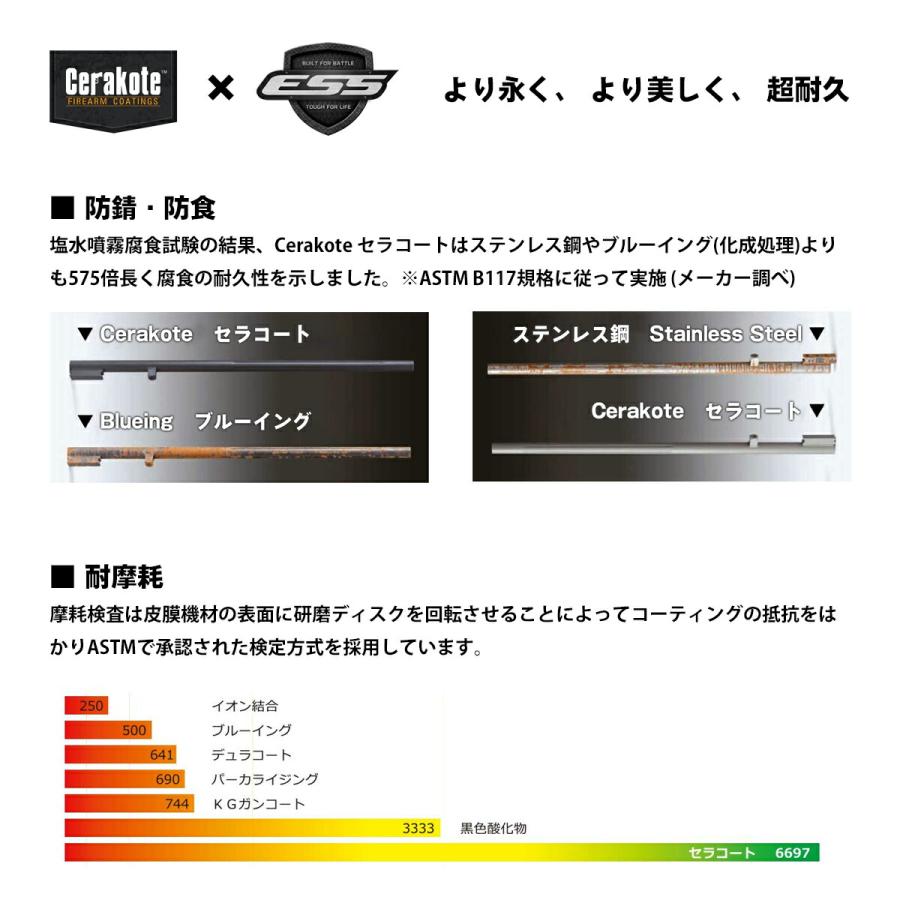 ESS クロスブレイド ナロ EE9034-113 CROSSBLADE NARO 日本限定 稲森佑