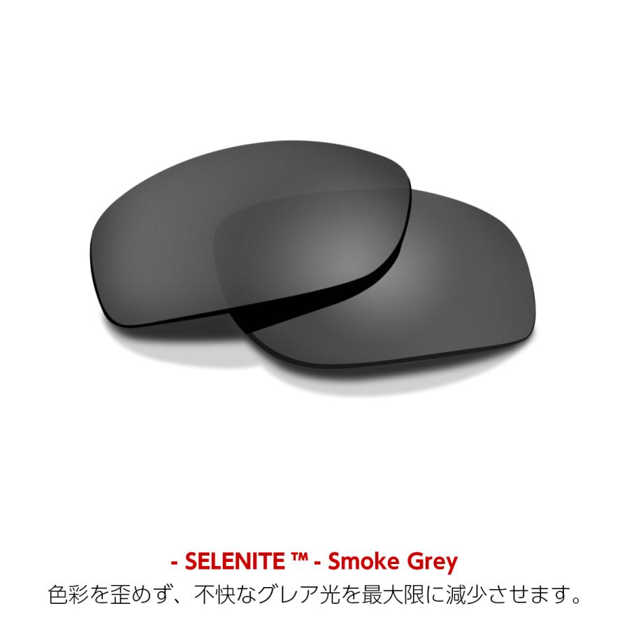 WILEY X（ワイリーエックス） ガード アドバンスド サングラス WXJ