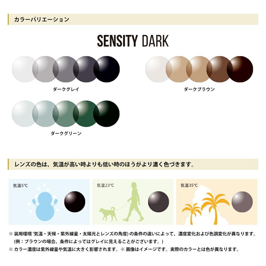 HOYA 度付きレンズ 可視光調光 センシティダーク HOYA SENSITY DARK 非