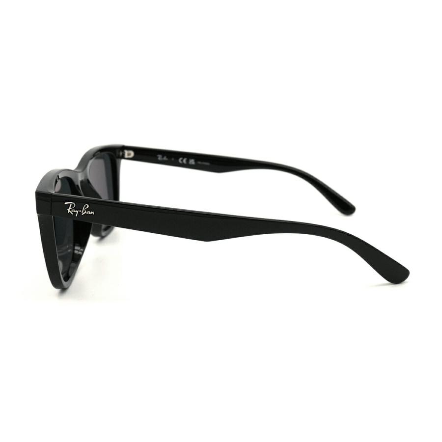 Ray-Ban（レイバン） 大きいサイズ 偏光 サングラス RB4391D col.601