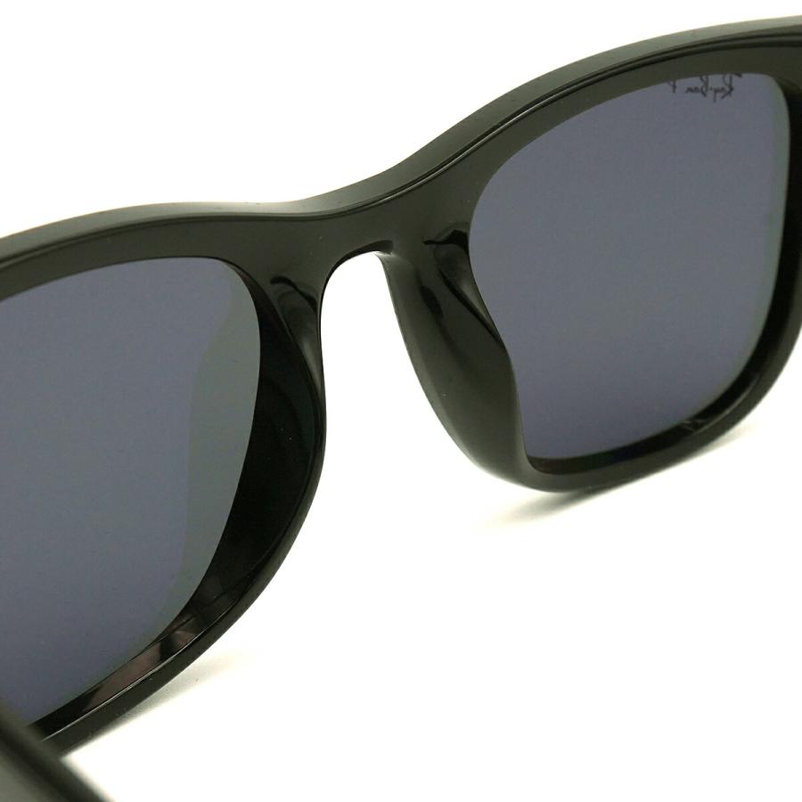 レイバン 大きいサイズ 偏光 サングラス RB4391D col.601/81 65mm Ray