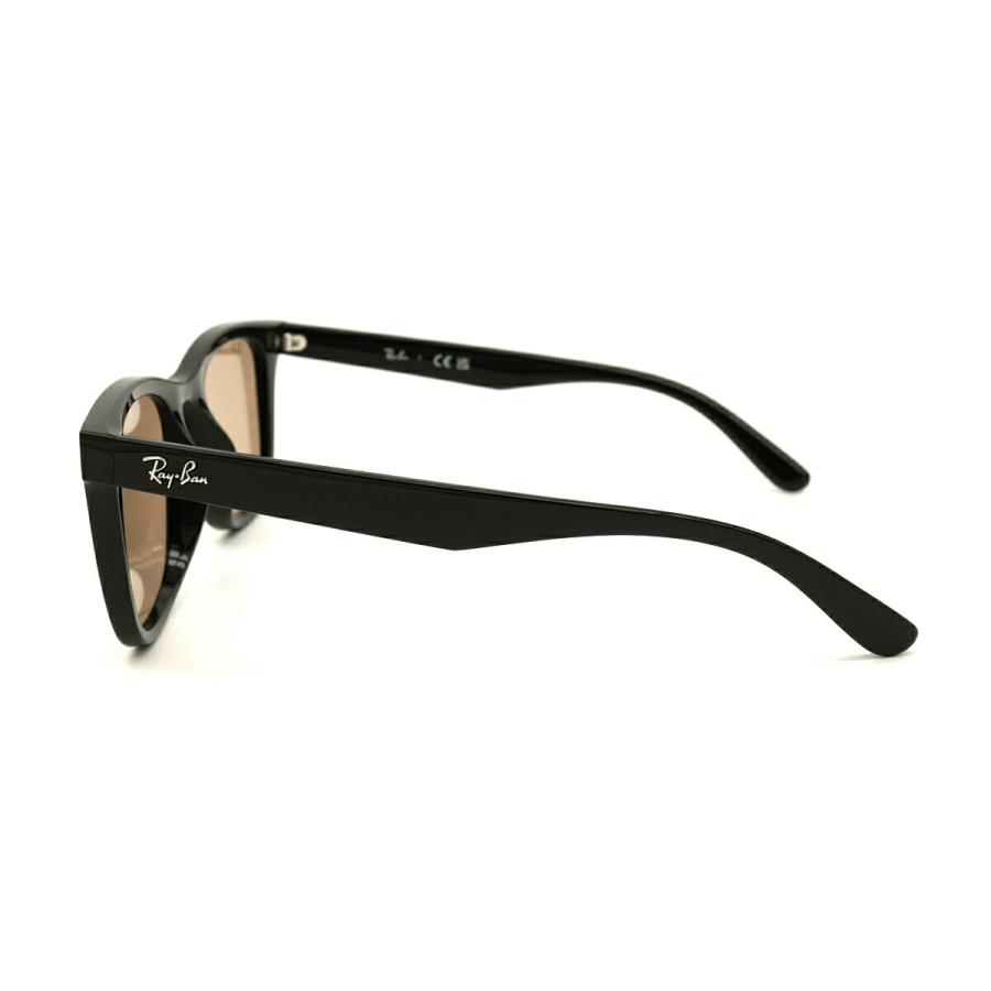 レイバン 大きいサイズ サングラス RB4391D col.601/93 65mm Ray-Ban アジア限定モデル フラットレンズ アジアン ...