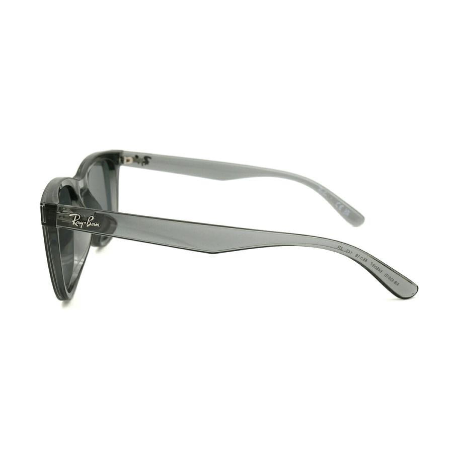Ray-Ban（レイバン） 大きいサイズ サングラス RB4391D col.645087