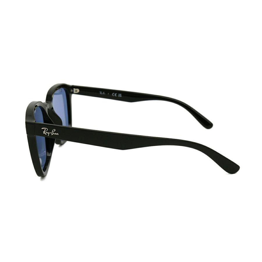 Ray-Ban（レイバン） 大きいサイズ サングラス RB4392D col.601/80
