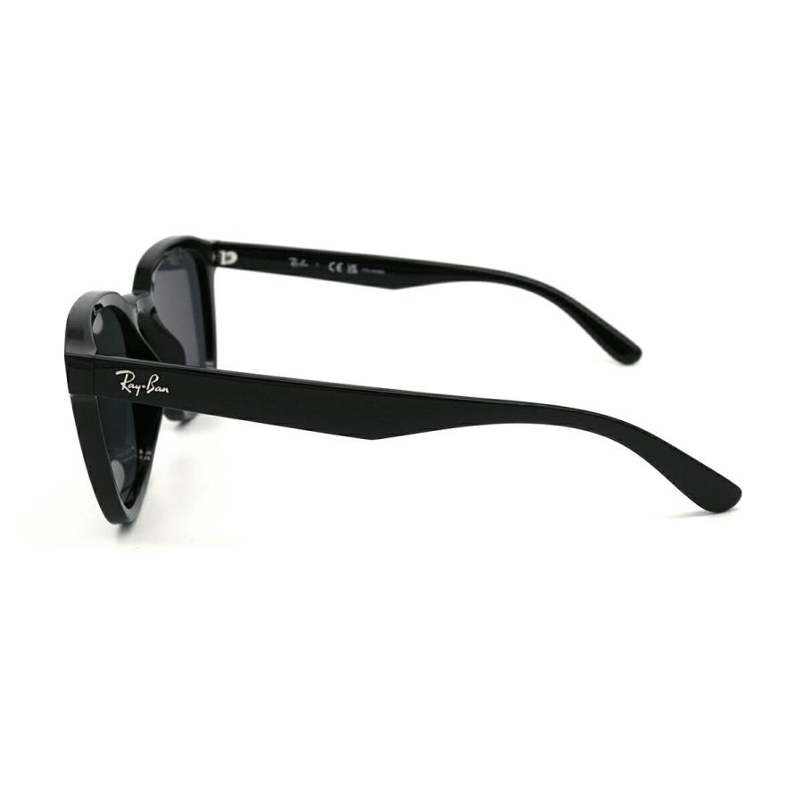 レイバン 大きいサイズ 偏光 サングラス RB4392D col.601/81 66mm Ray