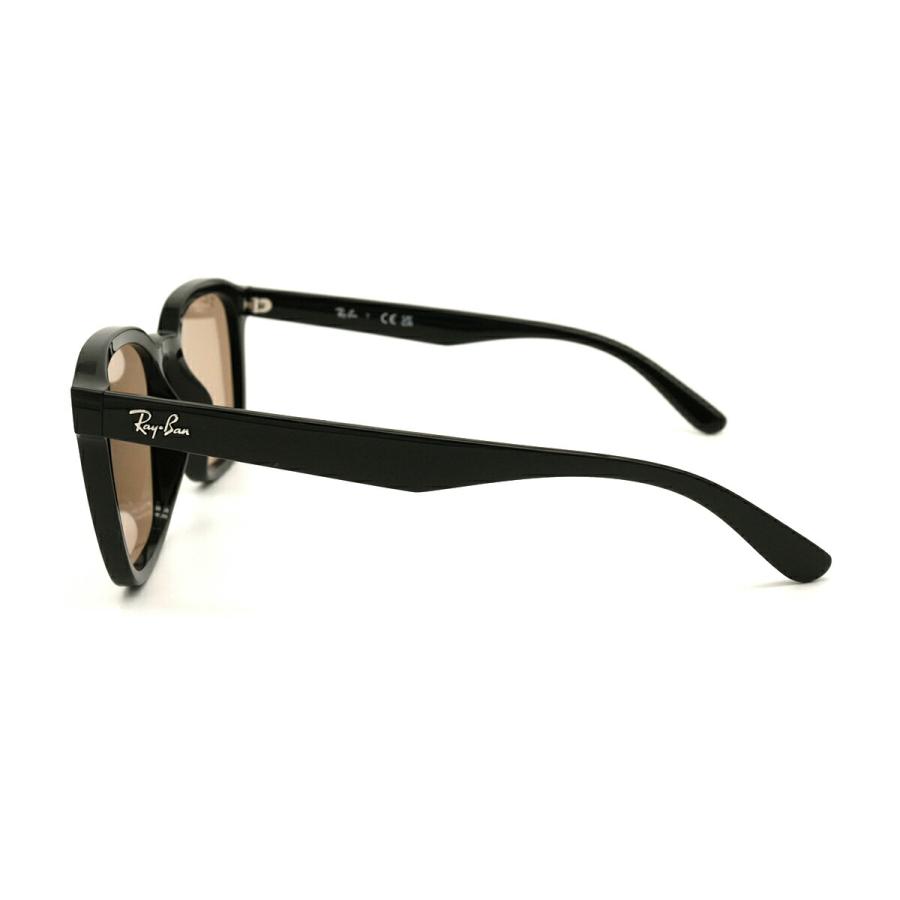 レイバン 大きいサイズ サングラス RB4392D col.601/93 66mm Ray-Ban