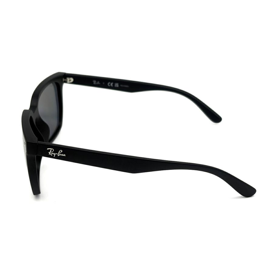 Ray-Ban（レイバン） 大きいサイズ 偏光 サングラス RB4466D col