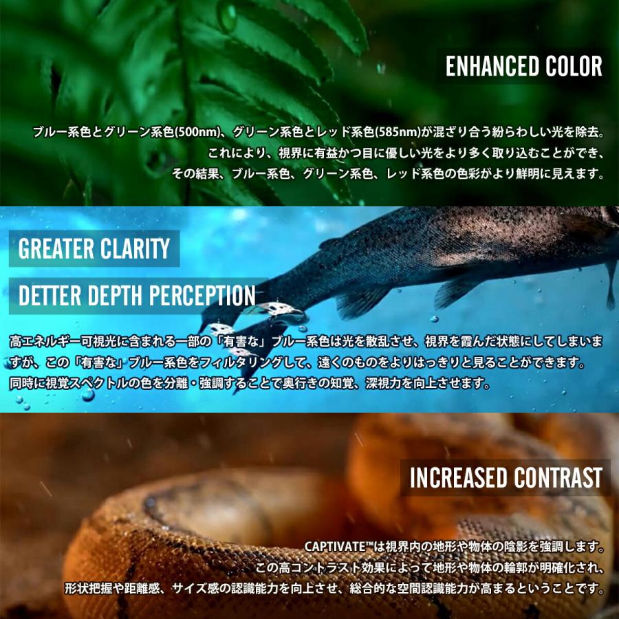 ワイリーエックス ファウンダー サングラス WXJ-AC6FND04 WILEY X WX FOUNDER 04 キャプティベイト 非偏光 日本仕様 UVカット_6