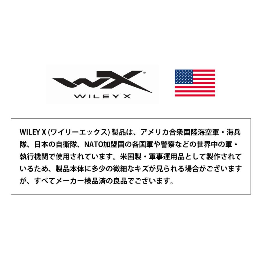 ワイリーエックス オベーション 偏光 サングラス WXJ-AC6OVN09 マットスレートの画像