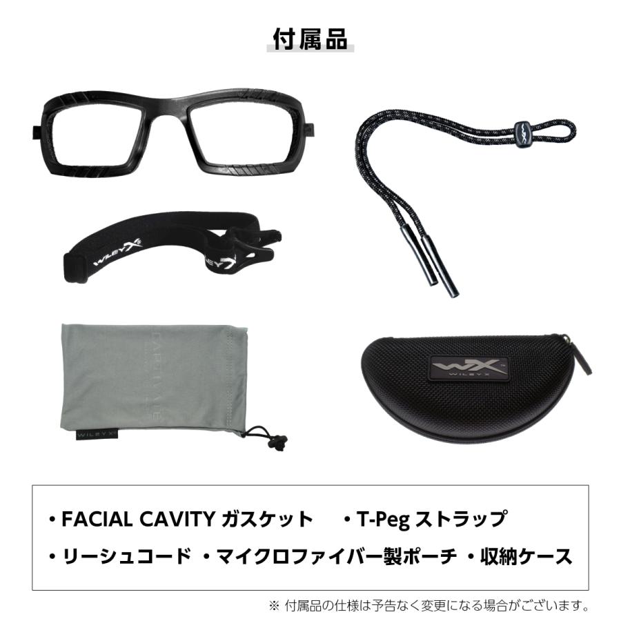 WILEY X（ワイリーエックス） 偏光 ブリーチ クリプテック タイフォン