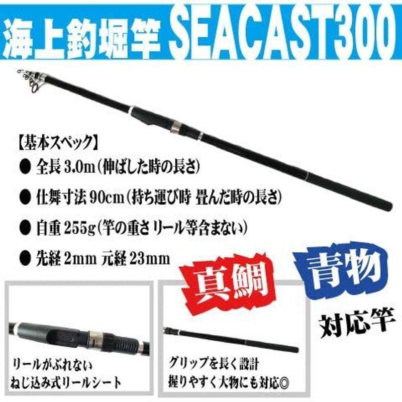 オンラインストア激安 つり具ten 全8点セット 海上釣り堀入門 完全セット 仕掛け Peライン付 竿 リール 糸 仕掛け 他 Eyes Shopのつり具ten 全8点セット Pe糸巻き済 釣り入門 Eyes Shop 安いオンライン ショップ の