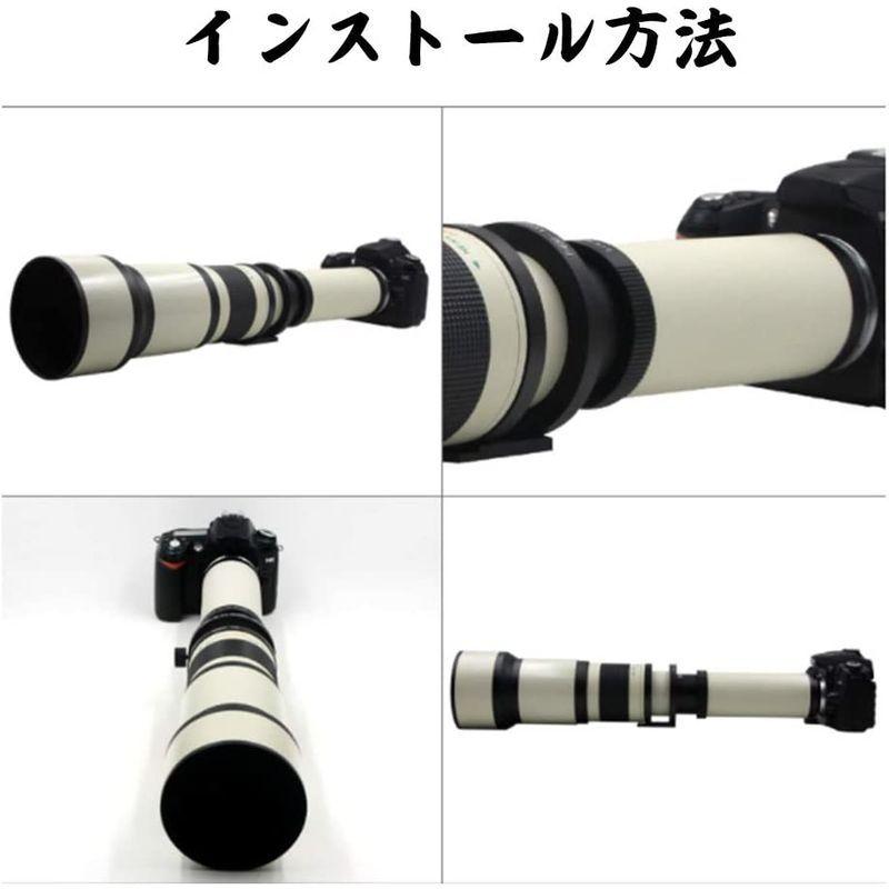 選ぶなら選ぶなら望遠レンズ 420-800MM超望遠ズーム キャノンEF