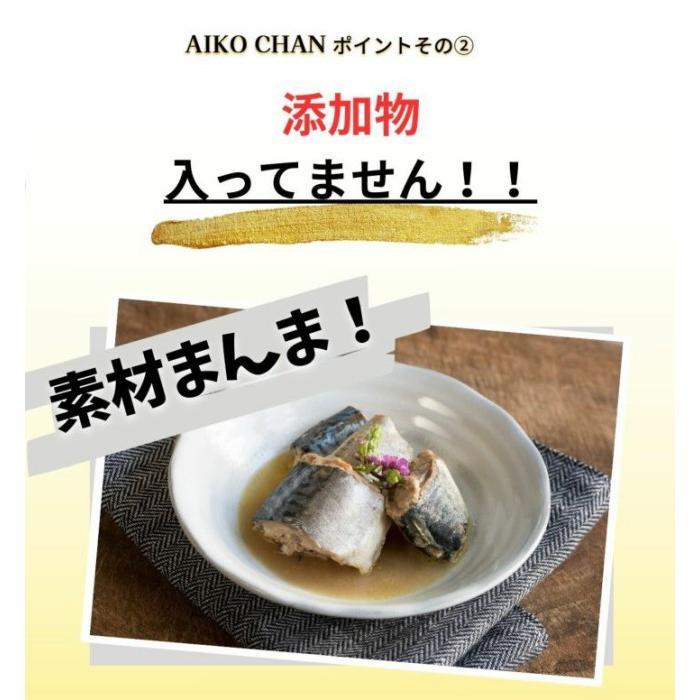 伊藤食品 あいこちゃんプレミアム 鯖水煮 食塩不使用 190g×24缶