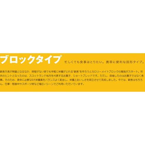 大塚製薬 送料無料 カロリーメイト ブロック チョコレート 4本×20箱