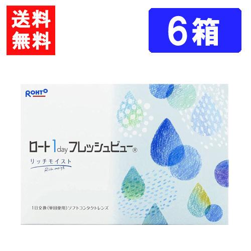 ロート ワンデーフレッシュビュー リッチモイスト 90枚入 ×6箱 RHOTO 1DAY フレッシュビュー