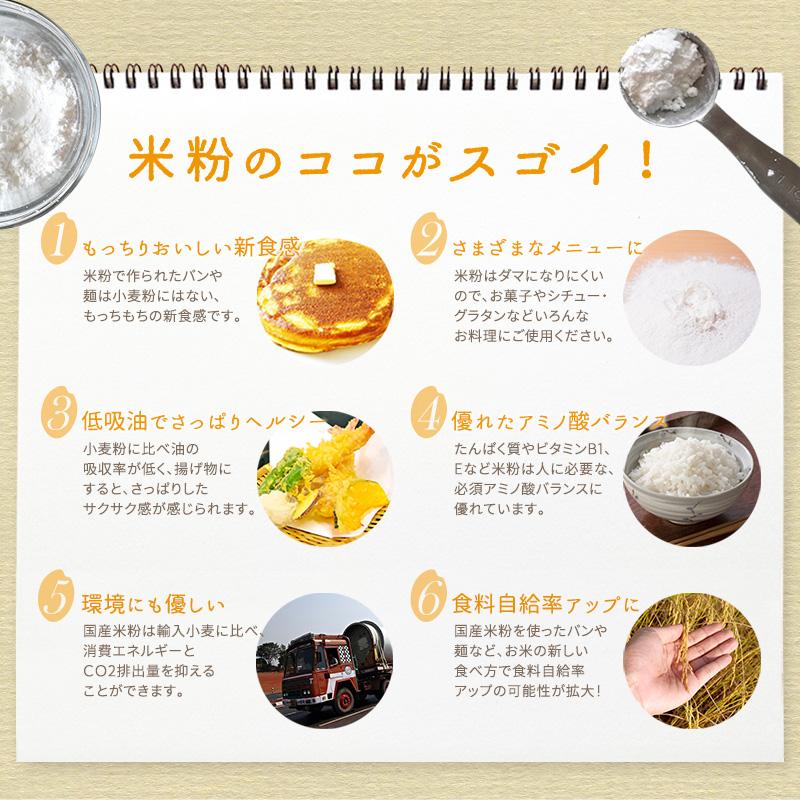 波里（NAMISATO） お米の粉 手作りパンの強力粉 500g×1袋 国産 小麦