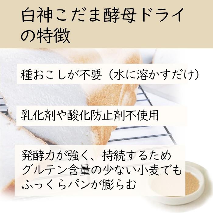 サラ秋田白神 こだま酵母ドライ 200g×3個 送料無料_1