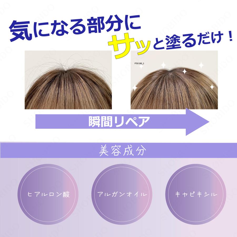まとめ髪 ポイントフィクサー ＜ ハードタイプ ＞ PT81590 粧美堂   （ポスト投函-c） | SHOBIDO | 02