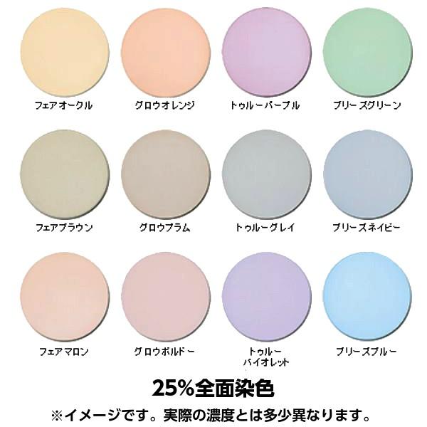 カラーレンズ注文券 : EYEWEAR JAPAN - 通販 - Yahoo!ショッピング