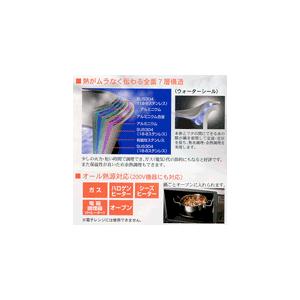 geo ステンレス 両手鍋 20㎝　服部幸應監修 ジオ（geo） 服部 幸應 の ステンレス 両手鍋 20cm IH鍋 対応 : e雑貨