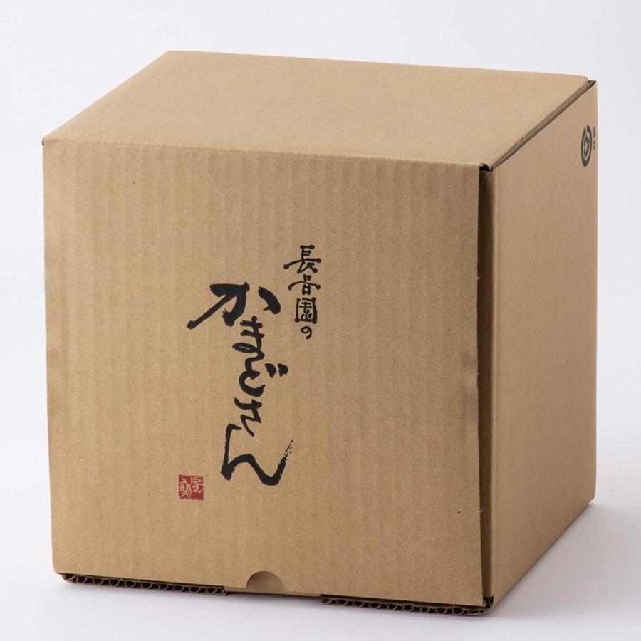 長谷園 かまどさん 三合炊 3合炊き 直火 伊賀焼 長谷製陶 土鍋 ご飯鍋